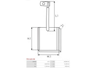 Carbon brush, starter motor