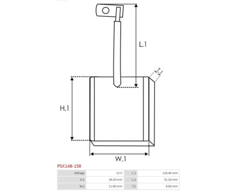 Carbon brush, starter motor