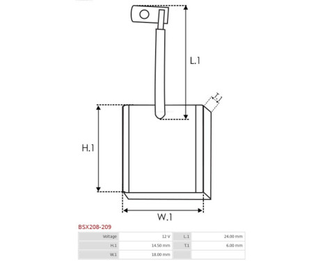 Carbon brush, starter motor