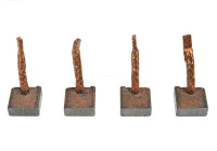 Carbon brush, starter motor