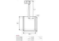 Carbon brush, starter motor