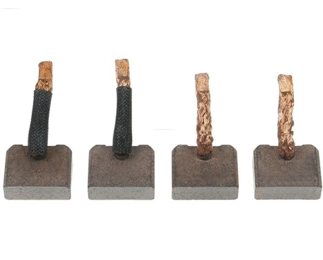 Carbon brush, starter motor