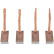 Carbon brush, starter motor