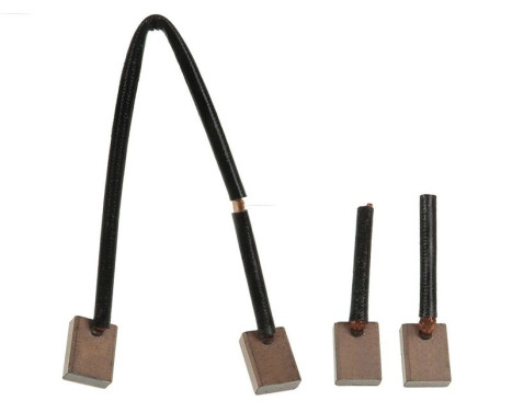 Carbon brush, starter motor