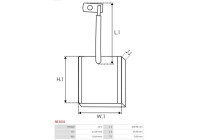 Carbon brush, starter motor