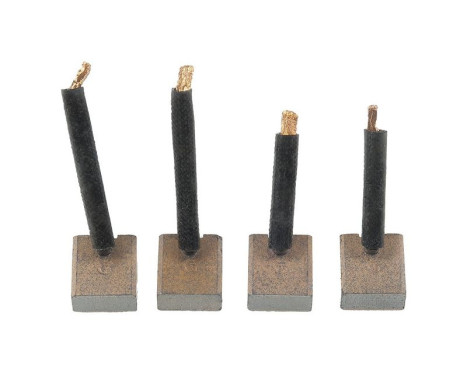 Carbon brush, starter motor