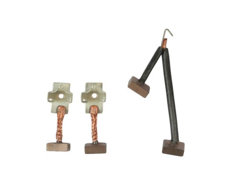 Carbon brush, starter motor