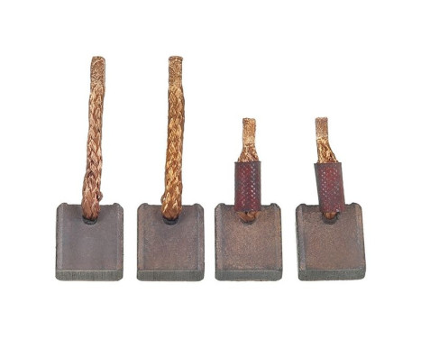 Carbon brush, starter motor