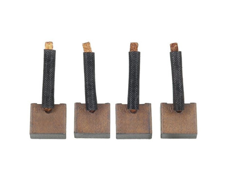 Carbon brush, starter motor