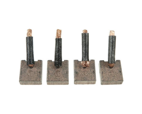 Carbon brush, starter motor