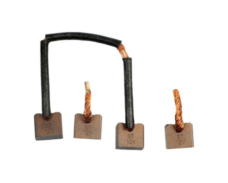 Carbon brush, starter motor