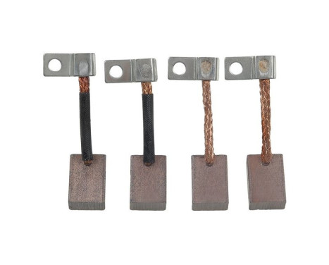 Carbon brush, starter motor