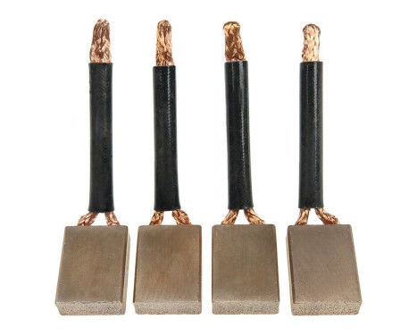 Carbon brush, starter motor