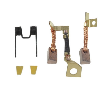 Carbon brush, starter motor