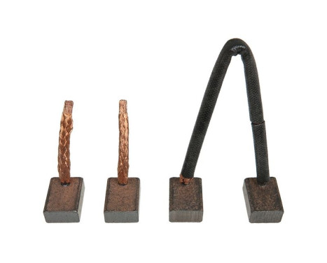 Carbon brush, starter motor