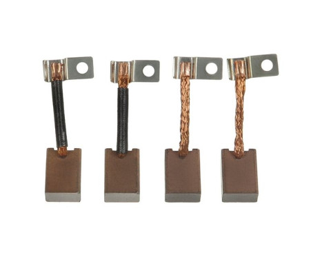 Carbon brush, starter motor