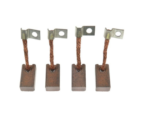 Carbon brush, starter motor