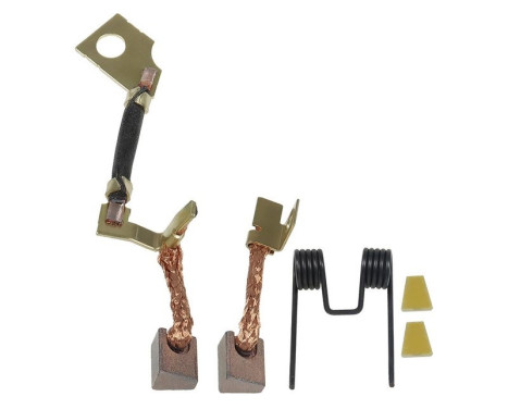 Carbon brush, starter motor