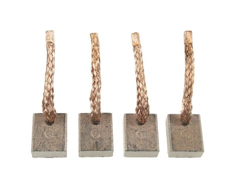 Carbon brush, starter motor