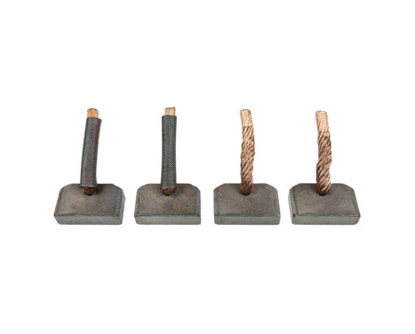 Carbon brush, starter motor