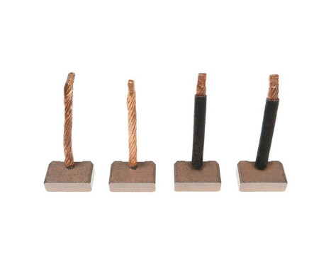 Carbon brush, starter motor