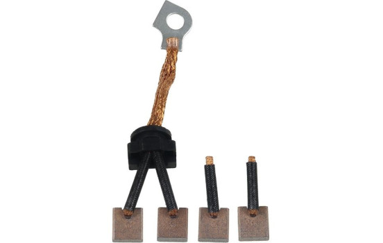 Carbon brush, starter motor