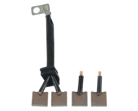 Carbon brush, starter motor