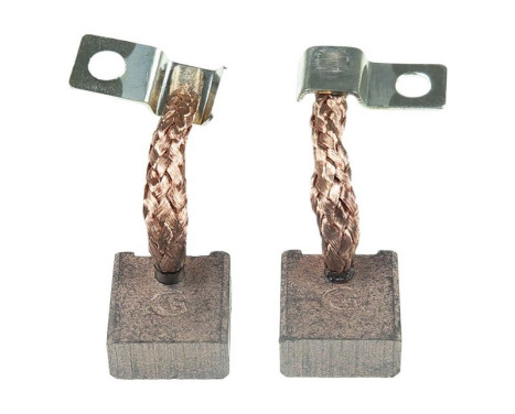 Carbon brush, starter motor