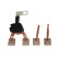 Carbon brush, starter motor