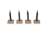 Carbon brush, starter motor