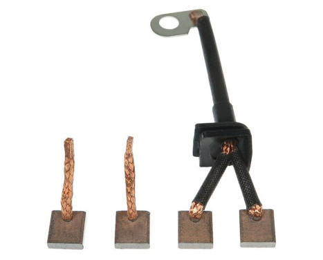 Carbon brush, starter motor