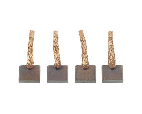 Carbon brush, starter motor