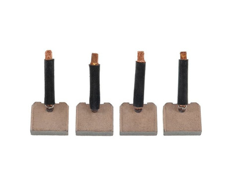 Carbon brush, starter motor