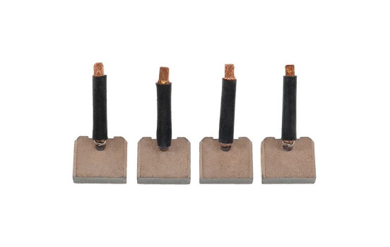 Carbon brush, starter motor