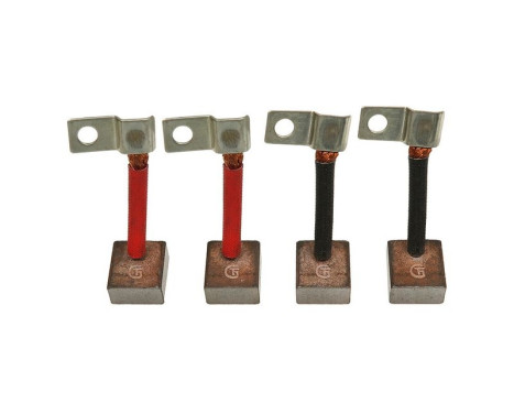 Carbon brush, starter motor