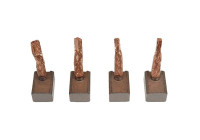 Carbon brush, starter motor