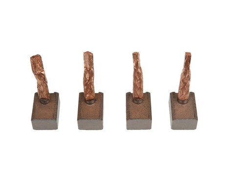 Carbon brush, starter motor