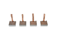 Carbon brush, starter motor