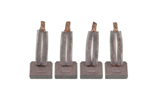 Carbon brush, starter motor