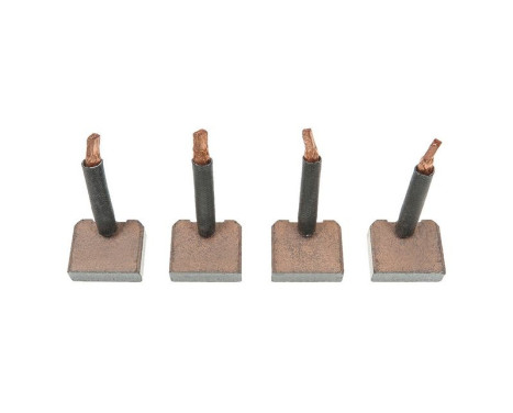 Carbon brush, starter motor