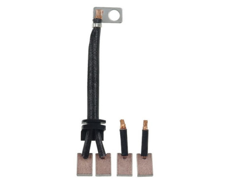 Carbon brush, starter motor