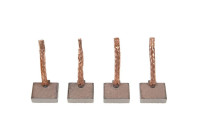 Carbon brush, starter motor