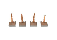 Carbon brush, starter motor