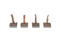 Carbon brush, starter motor