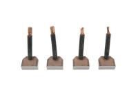 Carbon brush, starter motor