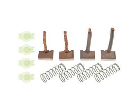 Carbon brush, starter motor