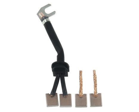 Carbon brush, starter motor