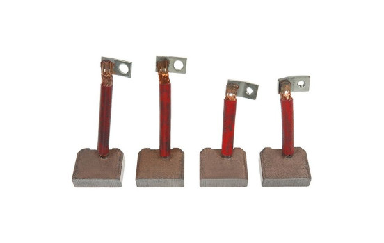 Carbon brush, starter motor