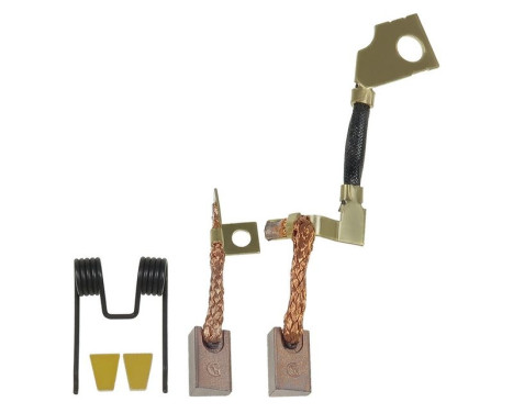 Carbon brush, starter motor