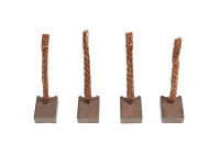 Carbon brush, starter motor